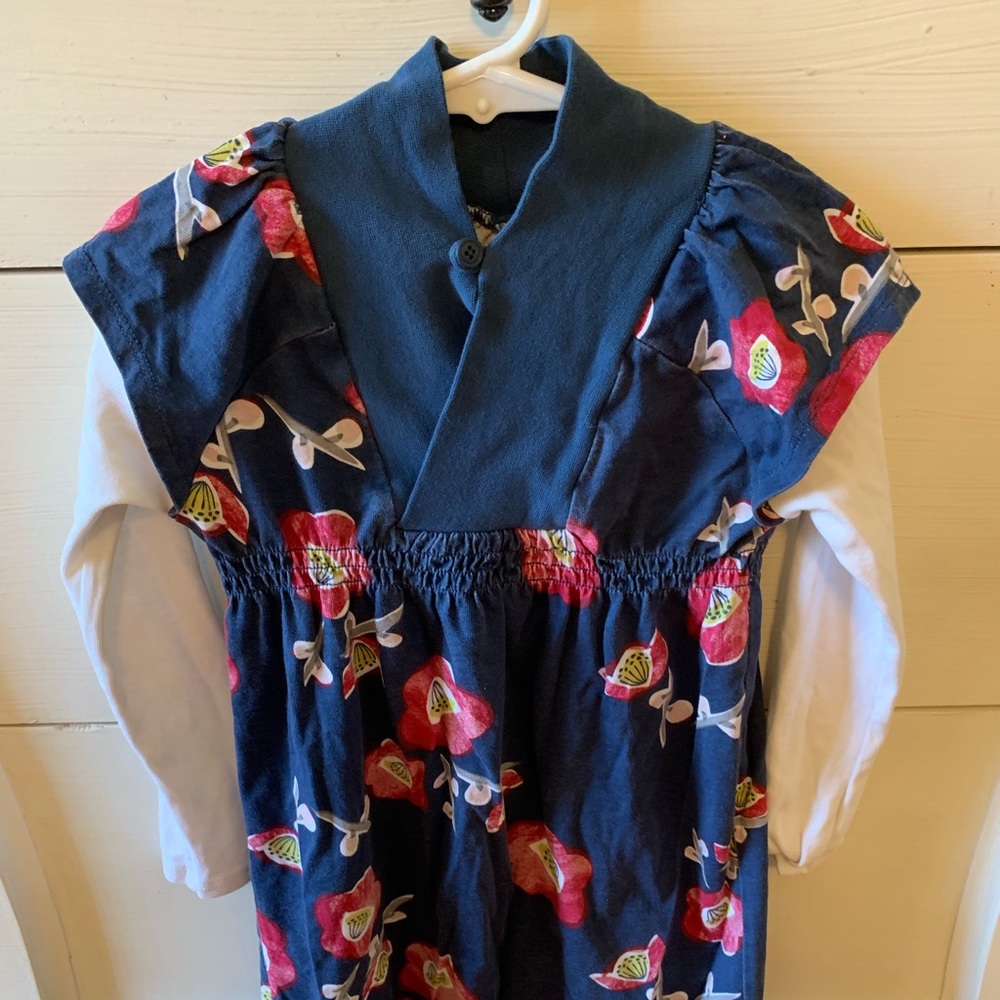 Tea Dress - Navy with Red flowers